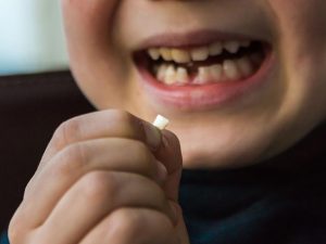 tooth fairy alternatives