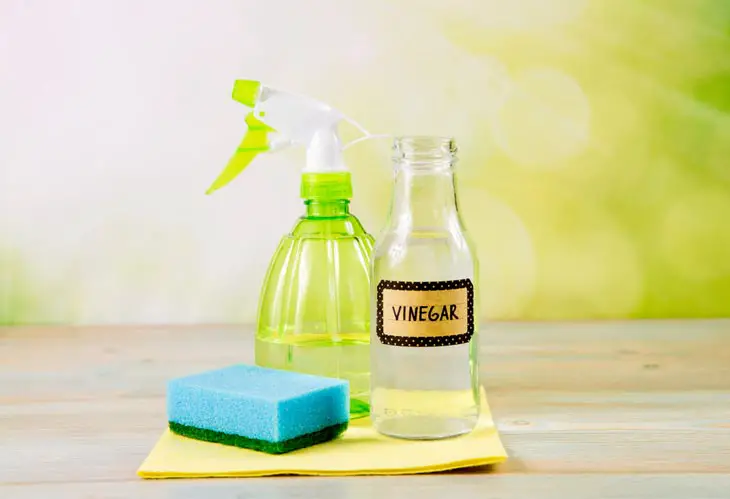 Clean Carpets With Dishwashing Liquids And White Vinegar