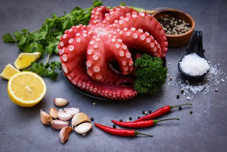 Is Octopus High in Mercury