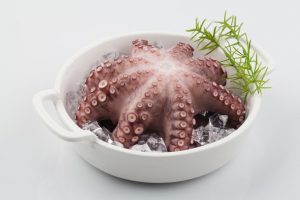 Octopus