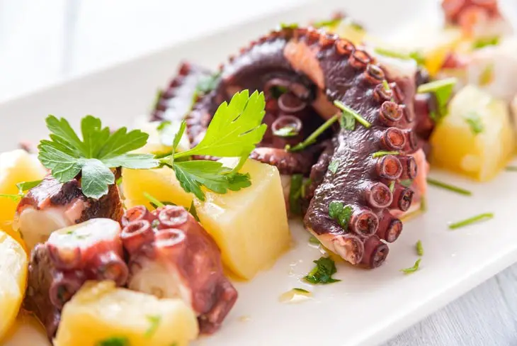 Risks Of Eating Octopus In Pregnancy