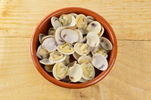 What Are Clams?