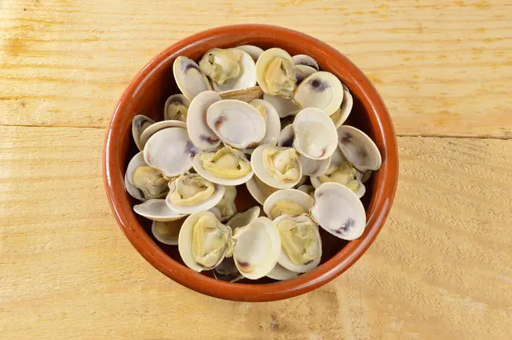 can-pregnant-women-eat-clams-things-to-remember