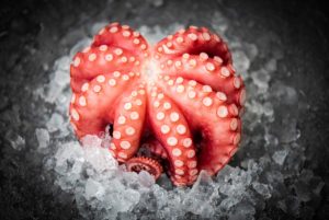 What Is The Nutrition Value Of Octopus?