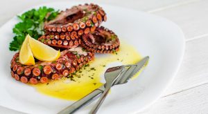 octopus