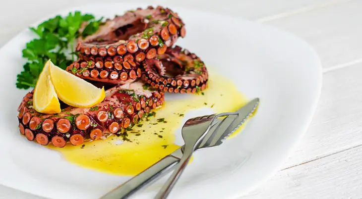 Can Pregnant Women Eat Octopus? 4 Best Octopus Benefits!