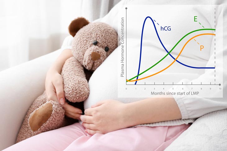 hcg-levels-dropped-then-went-back-up-is-it-possible