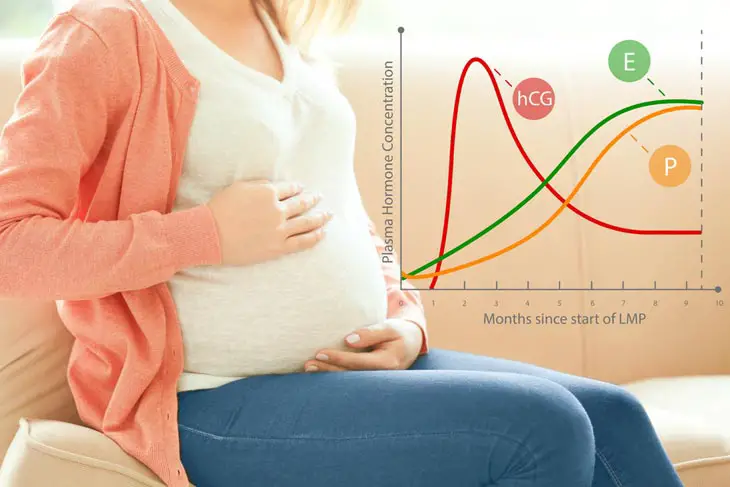 hCG Levels Dropped Then Went Back Up