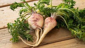 What Is Maca