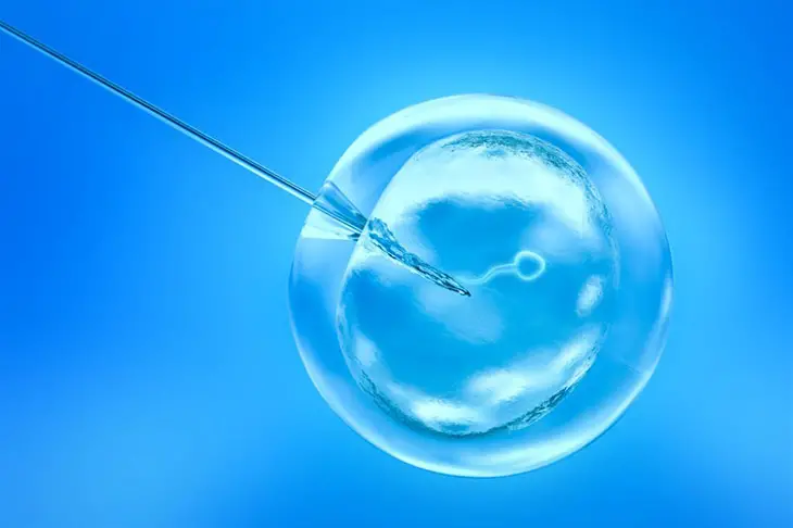 7DP5DT embryo development