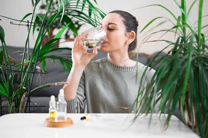 Can I Drink Chlorophyll Water While Pregnant Using Liquid Chlorophyll Third Trimester - Is It Safe?