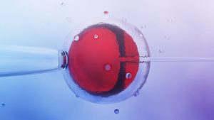 IVF pregnancy signs