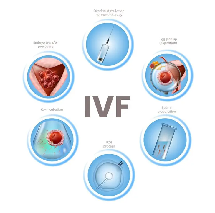 When will I get period after failed IVF