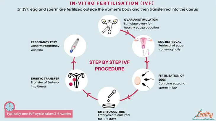 keeping the endometrium in the best possible condition