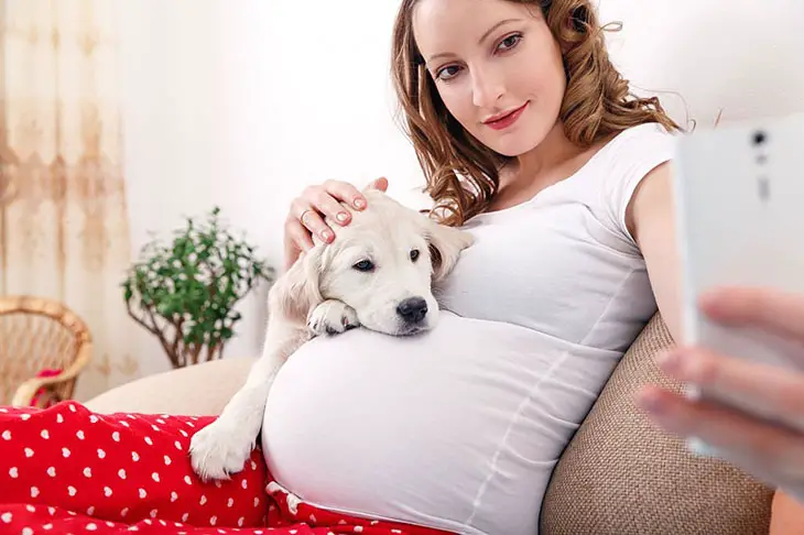 My Dog Jumped On My Pregnant Belly: Is It Safe? Any Risks?