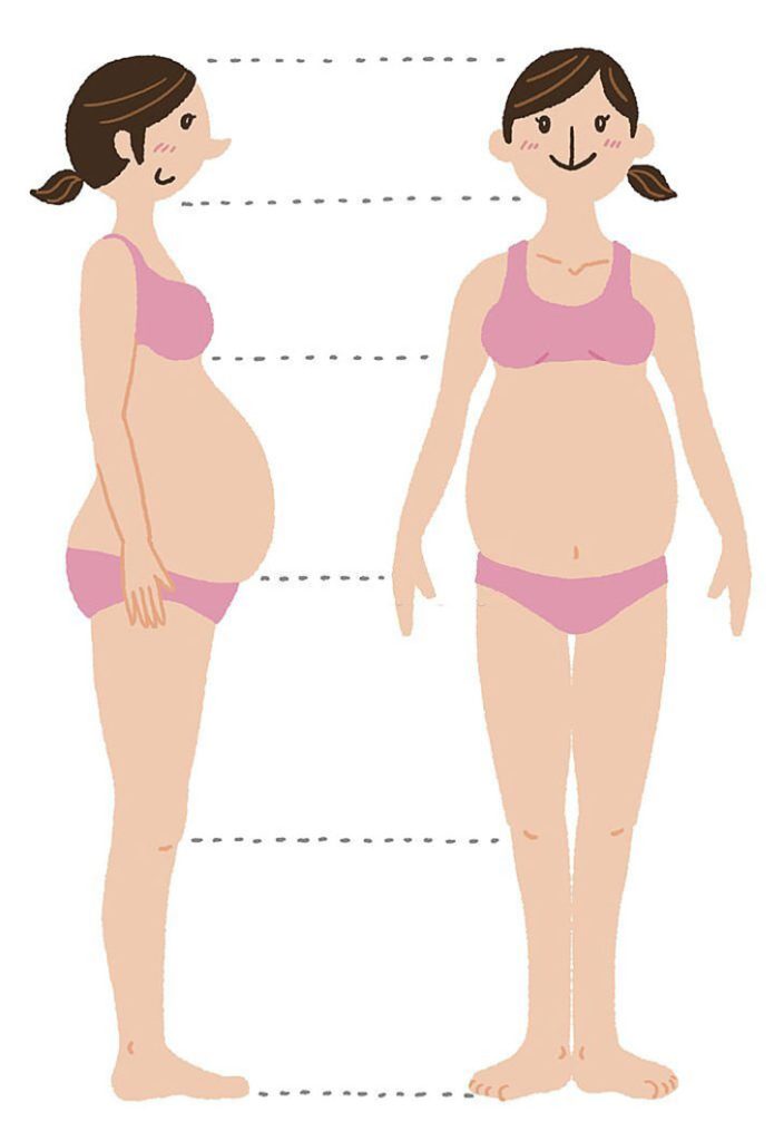 Is a longer torso better for pregnancy