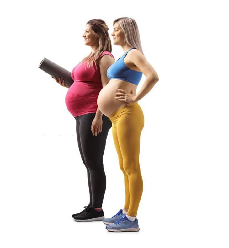 short torso vs long torso pregnancy