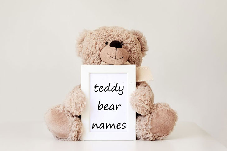 teddy bear names