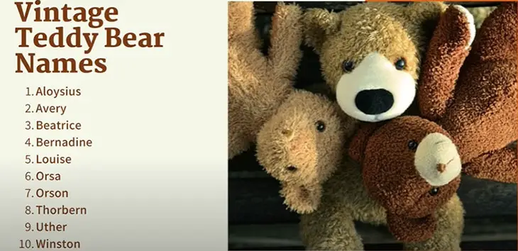 unique teddy bear names boy