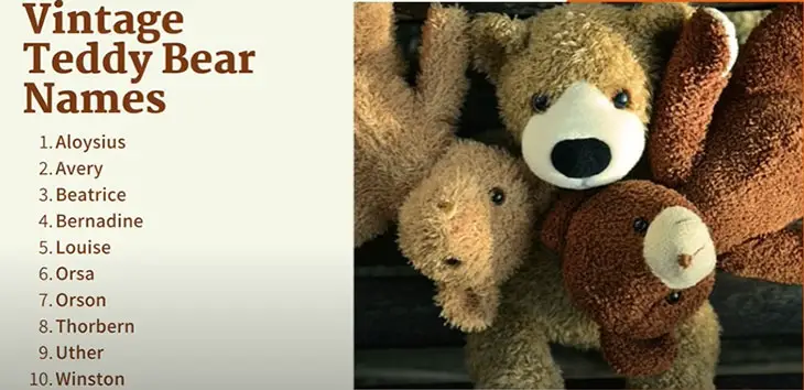 Unique Teddy Bear Names Boy