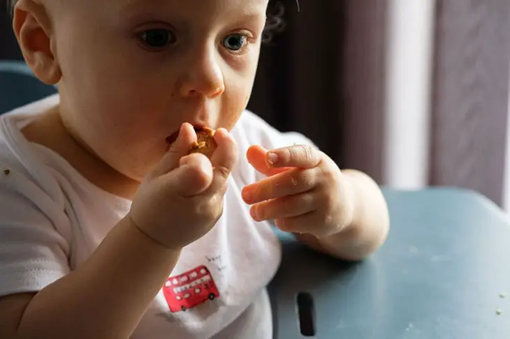 Safe Alternatives To Honey Graham Crackers Your Baby Can Enjoy 